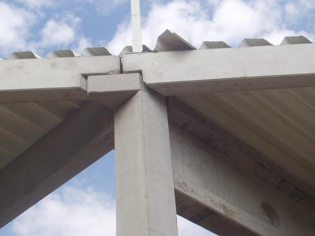 P7300071.JPG