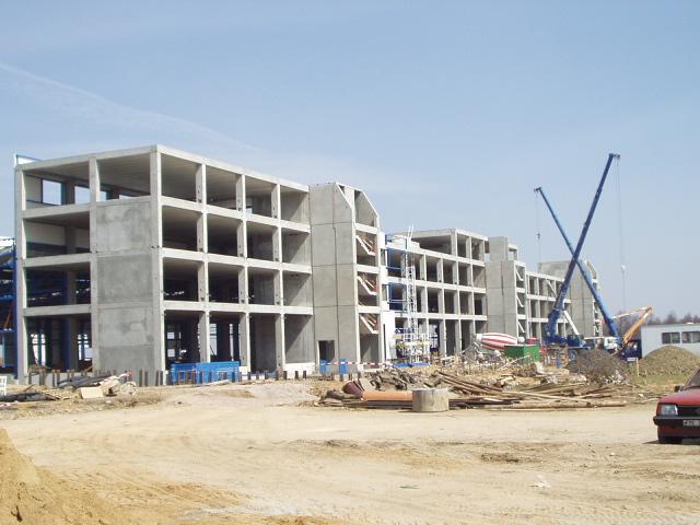 P1010001.JPG